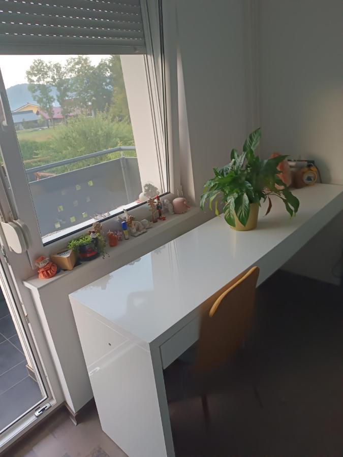 Apartment Renata, Celje